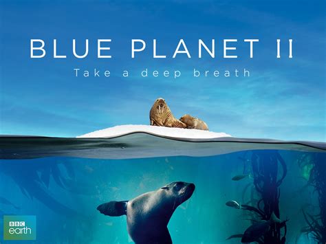 Blue Planet Ii Documentar Bbc 2017 Underwater Loveanddeath