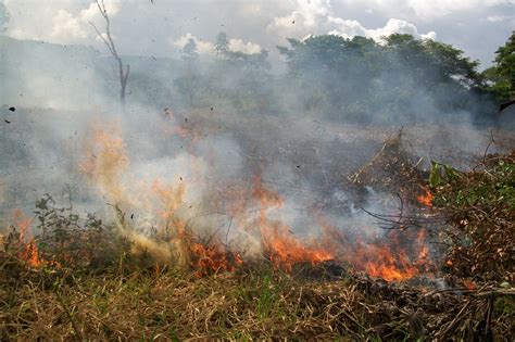 Sube La Temperatura En Colombia Más De 500 Municipios Están En Riesgo De Incendios Infobae