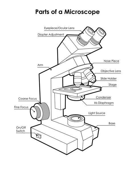 Labeled Microscope Diagram Tims Printables