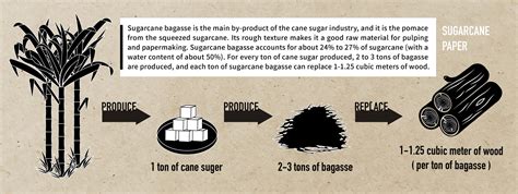 How Is Sugarcane Paper Made Kinghome Printing Packaging