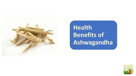Health Benefits Of Ashwagandha Youtube