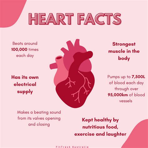 World Heart Day 2022 How To Know If Your Heart Is Healthy Fittrack