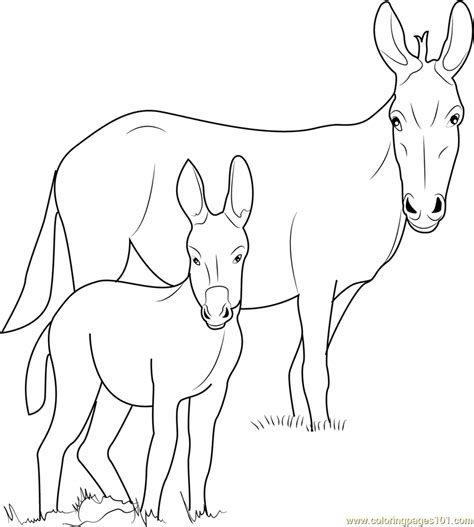 Have fun discovering pictures to print and drawings to color. Ponui Donkey Coloring Page - Free Donkey Coloring Pages ...