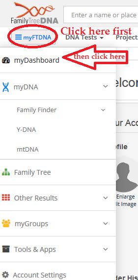How to Read FTDNA Family Finder Results - Who are You Made Of?