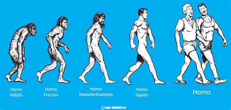 The Evolution Of Man 13 Creative Parody Illustrations