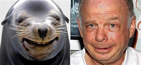 20 Animals That Look Just Like Celebrities