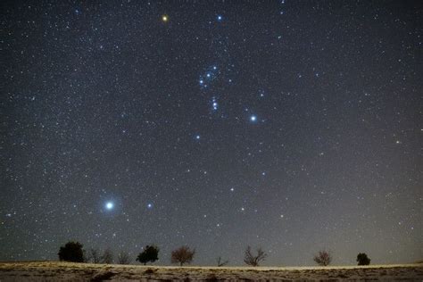 Sirius And Orion Orion Sirius Beautiful Places