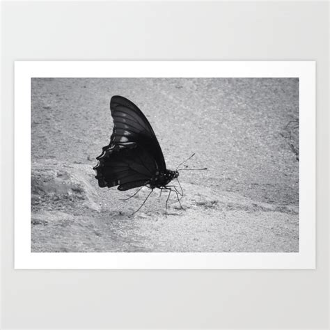 Black Butterfly Art Print By Juan Iglesias Art Society6