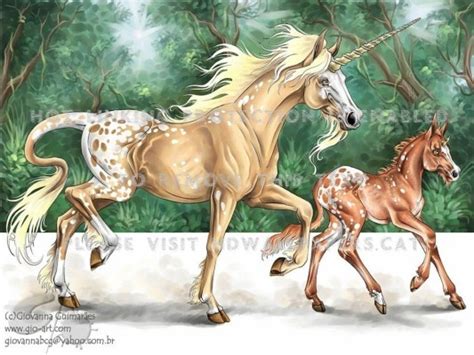 Unicorn Horses Wallpaper Hd 1440x900 Wallpaper