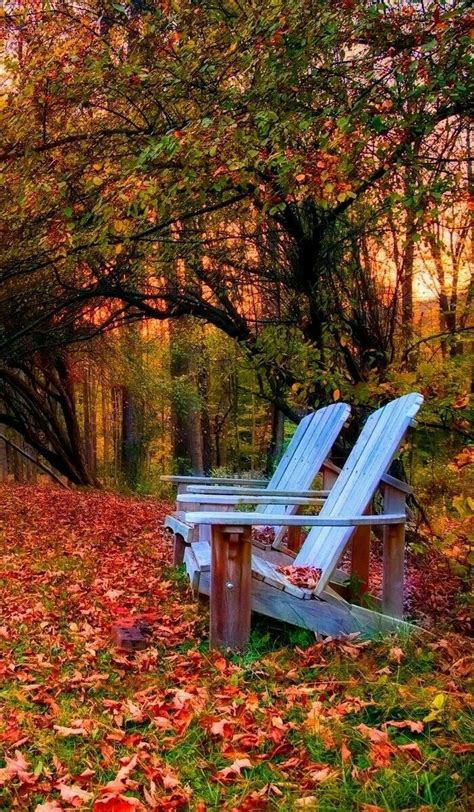 All Nature Beautiful Places Beautiful Pictures Autumn Nature Autumn
