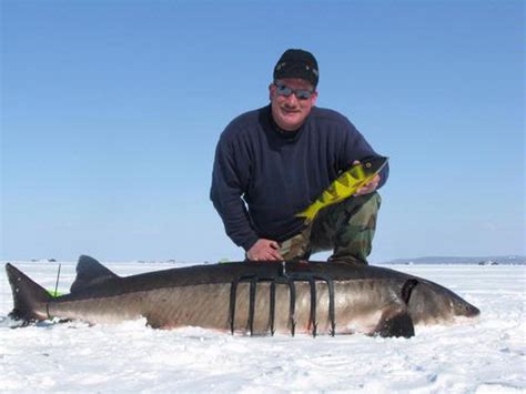 Wisconsin Fishing Reports Sturgeon Spearing 2012