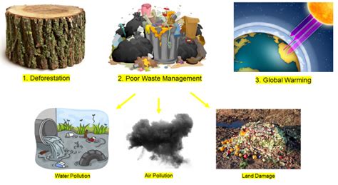 Understand The Impact Of Humans On Biodiversity Worksheet Edplace