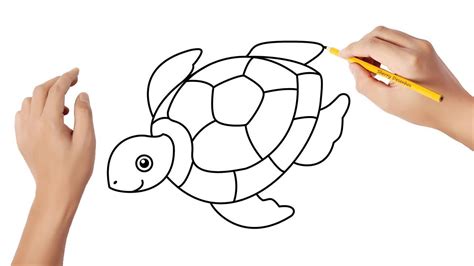 Como Desenhar Uma Tartaruga Marinha YouTube