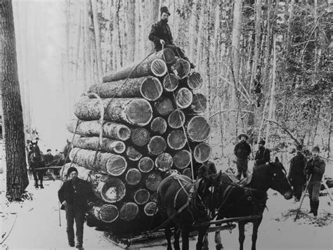 The Heyday Of Michigans Lumber Industry