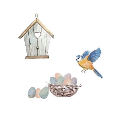 Birdhouse And Eggs Window Stickers Stickerscape Uk