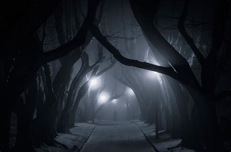4540266 Snow Lantern Night Poland Landscape Nature Dark Tunnel