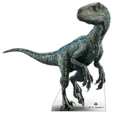 Jurassic World Park Velociraptor Dinosaur Blue Lifesize Standup Standee Cutout Ebay