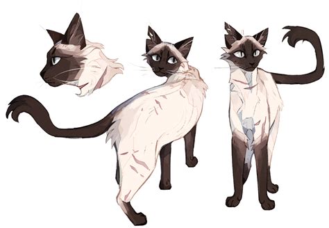 Three Glades By S Subiime On Deviantart In 2022 Warrior Cats Art