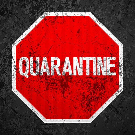 Quarantine Road Sign Background Stock Vector Illustration Of Control Medical 181340792