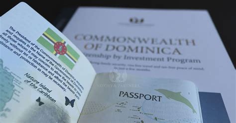 How Long Does It Take To Get Citizenship Of The Commonwealth Of Dominica Savory And Partners
