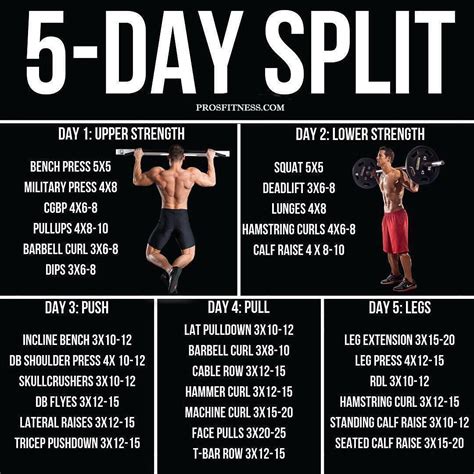 5 Day Split Workout Routine Strength Training Routine Push Pull