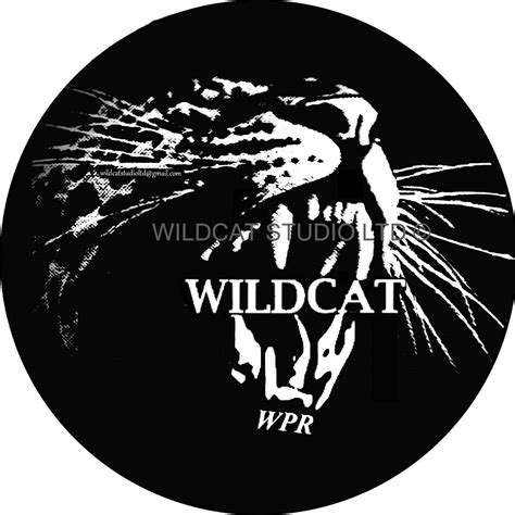 Wildcat Studio Ltd