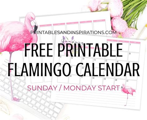 2020 2021 Flamingo Calendar Weekly Planner Free Printable Printables And Inspirations Free