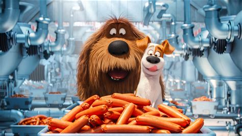 The Secrete Life Of Pets Animated Movie Hd Movies 4k Wallpapers