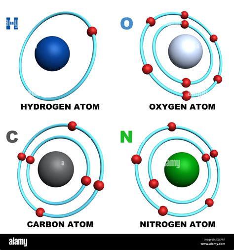 Hydrogen Oxygen Carbon And Nitrogen Atom Stock Photo Alamy