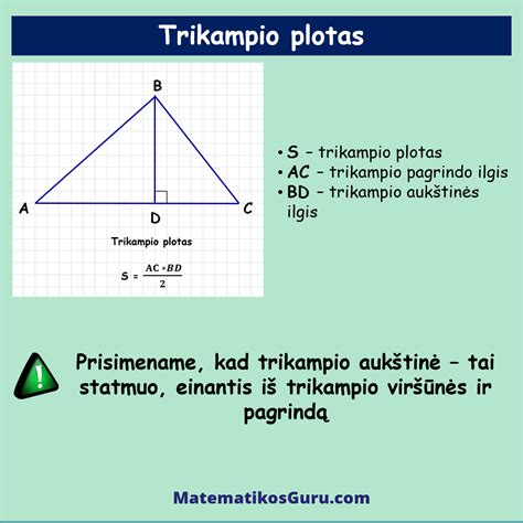 Stačiojo Trikampio Plotas Matematikos Guru