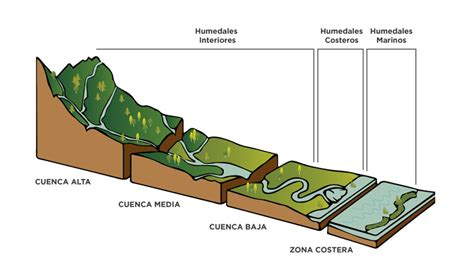 Hidrografía Venezolana Geovenezuela