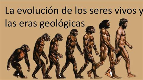 La evolución de los seres vivos y las eras geológicas María Fernanda