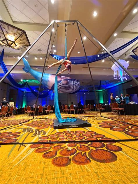 Hire Aerial Circus Performers Acod Professional Entertainment