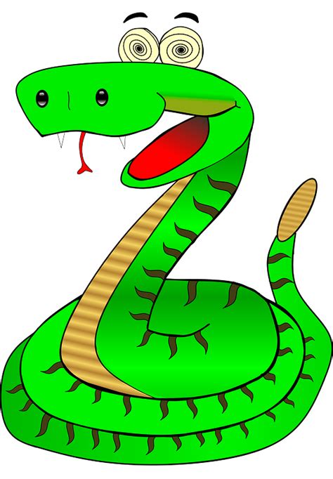 Rattle Snake Png