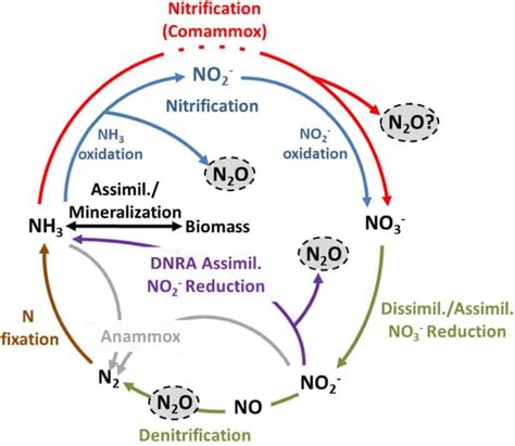 Mechanisms Of Nitrous Oxide Formation In Biofilm Processes
