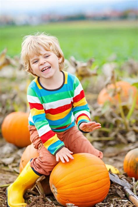 Adorable Little Kid Boy Picking Pumpkins On Halloween Pumpkin Patch