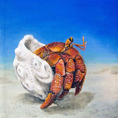 Hermit Crab Painting By Cindy Chinn