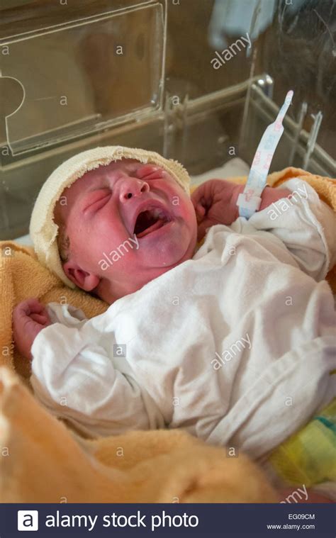 New Born Baby Boy Crying In Plastic Hospital Crib Stock
