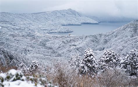 Wallpaper Winter Forest Trees Mountains Lake Japan Japan Hakone