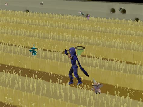 We did not find results for: Hunting implings - OSRS Wiki