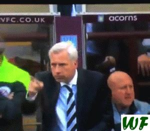 Find funny gifs, cute gifs, reaction gifs and more. Alan PAR-dew in full troll mode during Crystal Palace presser