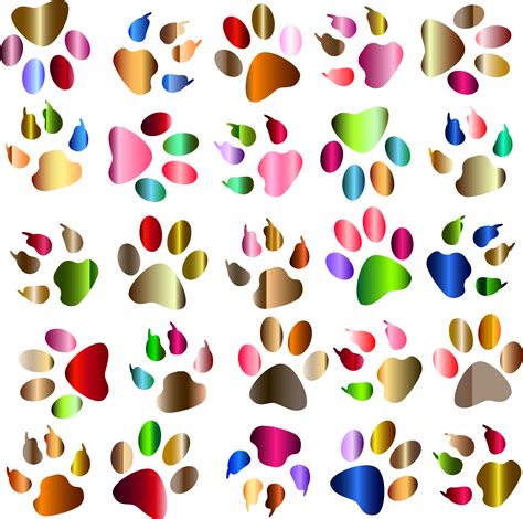 Paws Clipart Rainbow Paws Rainbow Transparent Free For Download On