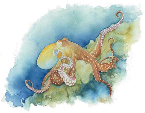 Life Under The Sea Watercolor Octopus