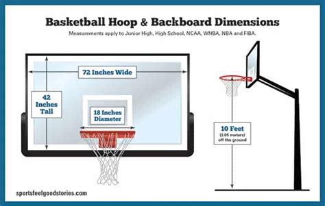 Basketball Court Dimensions Gym Size Hoop Height Sports Feel Good