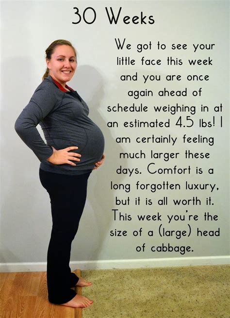 Bumpdate 30 Weeks Pregnant Well Planned Paper Pregnancy