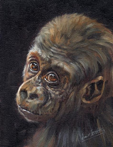 Baby Gorilla Painting By David Stribbling Pixels