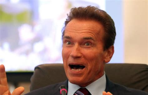 Arnold Schwarzeneggers The Governator To Be A 3d Film Complex