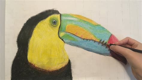 How To Draw A Toucan Step By Step Super Realistic Youtube