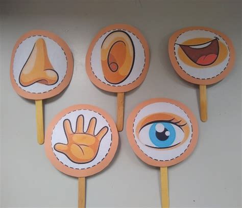 5 Senses For Kids Puppets Free Printables Artofit