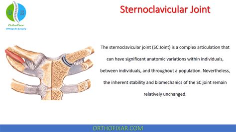Sternoclavicular Joint • Easy Explained Orthofixar 2022 2023